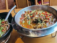 -红果树(江光店)