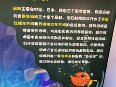 -肆月河豚·新淮扬(金融街店)