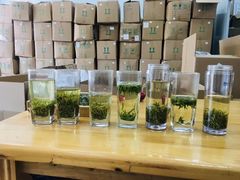 -粤珍轩·家宴·广式茶点(新城广场店)