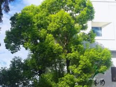 -广州市紫泥堂文化创意园景区