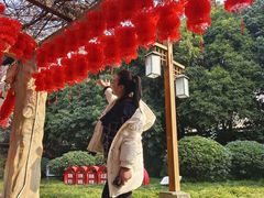 -房湖公园