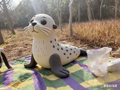 -上海海湾国家森林公园