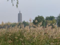 -西海子公园