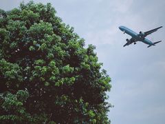 -空港花田景区
