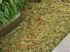 -松坂屋日料自助(长城路店)