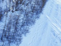 -多乐美地滑雪场