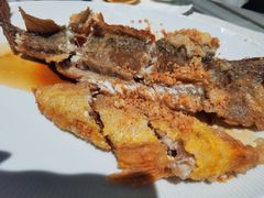 -大树餐厅(大悦城店)