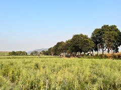 -光明小镇欢乐田园