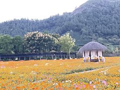 -径山花海