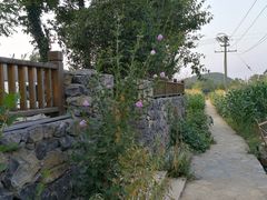 -武陵山森林公园