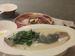 -沈灶河豚宴·河豚融合餐厅(汉中路店)