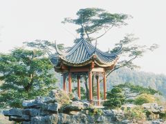 -顺峰山公园