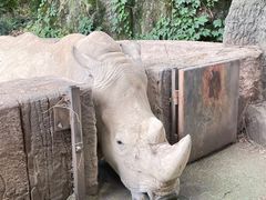 -杭州野生动物世界