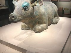 -宁夏博物馆