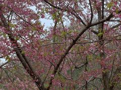 -起义门回民烧烤(桃园路店)