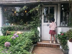 -海边的猫和咖啡馆