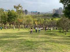 -牛岗山公园
