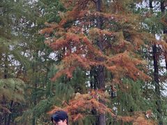 -重庆彩云湖湿地公园