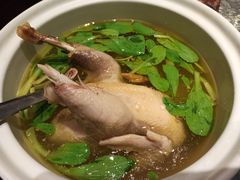 -梅龙镇酒家(南京西路总店)