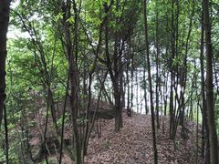 -南山植物园