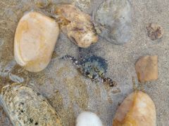 -那香海钻石沙滩浴场