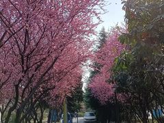 -月湖风景区
