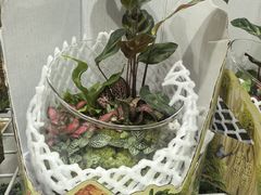 -山姆会员商店(西溪店)
