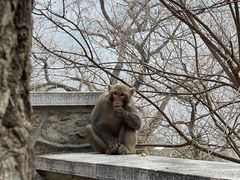 -北京上方山国家森林公园