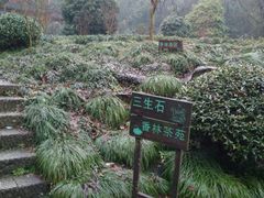 -杭州西湖风景名胜区-三生石