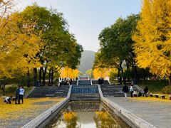 -晋祠公园