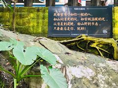 -石井坡(地铁站)