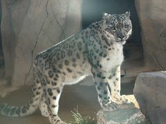-青藏高原野生动物园
