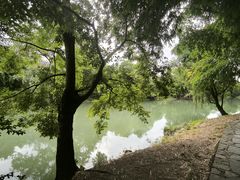 -贵阳市花溪国家城市湿地公园