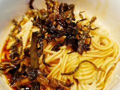 -虹桥机场国航贵宾室v8