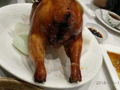 -稻香酒家·33年老字号·港式粤菜(富邦中心店)