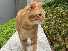 -深圳大学(丽湖校区)