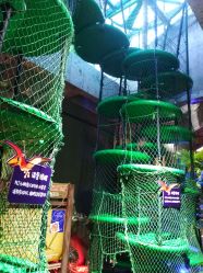 -恐龙探索乐园(磁器口店)