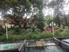 -金河半岛园林酒家(金融城店)