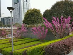 -百林公园-两江幸福广场