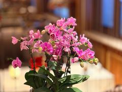 -国际饭店·原点咖啡吧ORIGIN CAFE&BAR