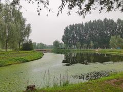 -东郊湿地公园