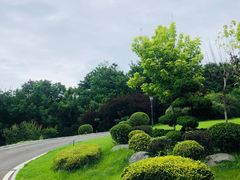 -棒棰岛宾馆景区