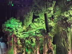 -广州长隆国际大马戏