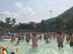 -重庆海昌加勒比海水世界