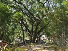 -楠溪江风景名胜区