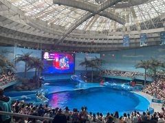 -海合安成都极地海洋公园