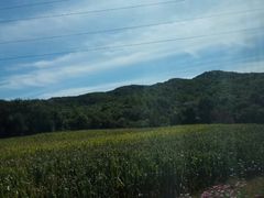 -凤凰山国家森林公园