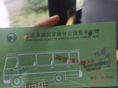 -合肥滨湖国家森林公园