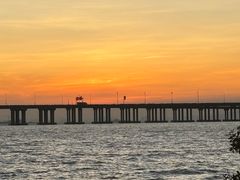 -宝安西湾红树林湿地公园