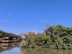 -大湾区中央湿地公园